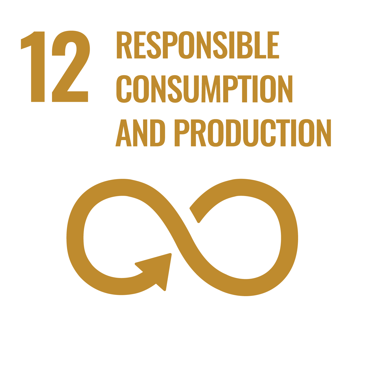 SDG 12 logo