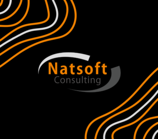 Natsoft Logo