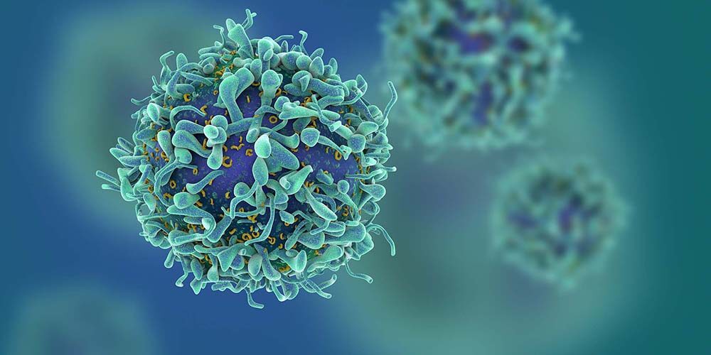 3d illustration of T cells or cancer cells