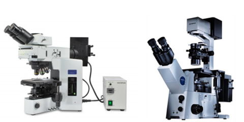 Olympus Fluorescent Microscopes equipment