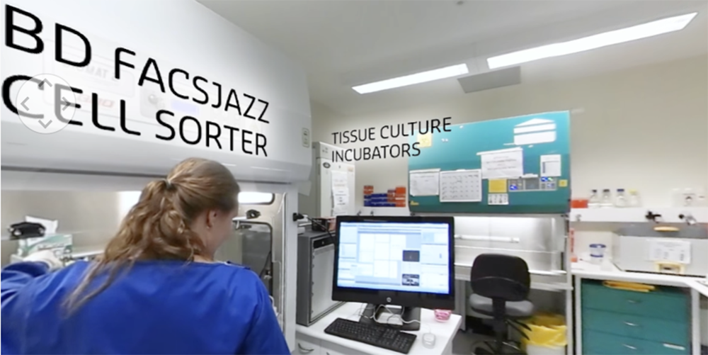 A scientist standing at a computer, with the words Tissue Culture Incubators on the wall - play video