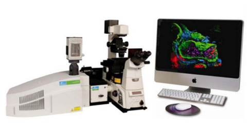 Ultraview Confocal Microscope