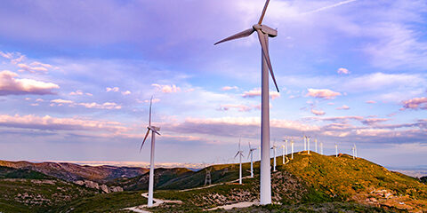 Wind turbines generating wind energy
