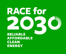 RACE for 2030 flag