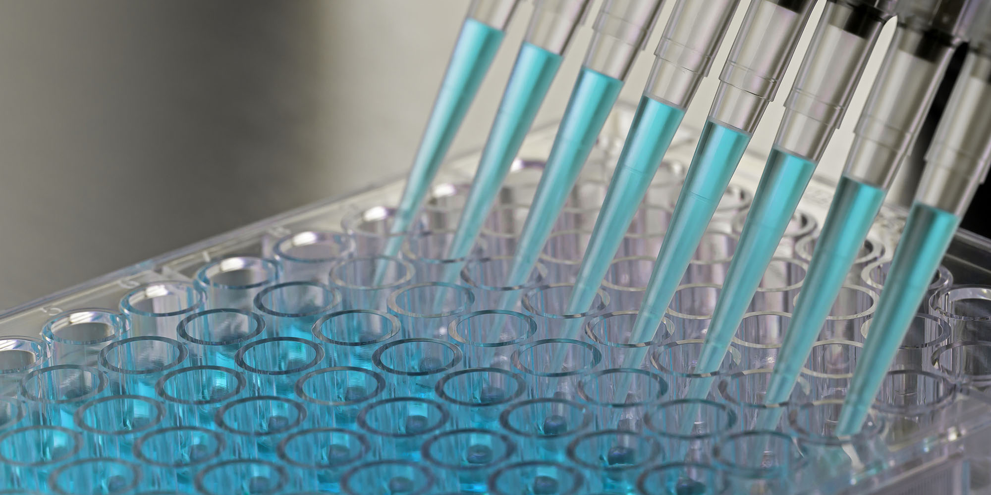 Adding samples inside a biosafety cabinet