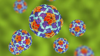 Heptitis A viruses on colorful background, 3D illustration