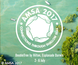 AMSA 2017 logo