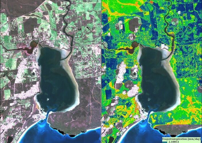 Oyster Harbour estuary, Albany, Western Australia, shown in Sentinel 2 natural-colour composite (left) and derived evapotranspiration/ water use (right). Resolution 10m/pixel.