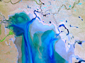 Landsat 5 Thematic mapper North Lake Eyre