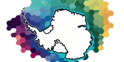 Southern Ocean Bio-optics Workshop