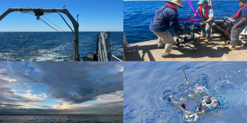Two years of IMOS bio-optical sampling