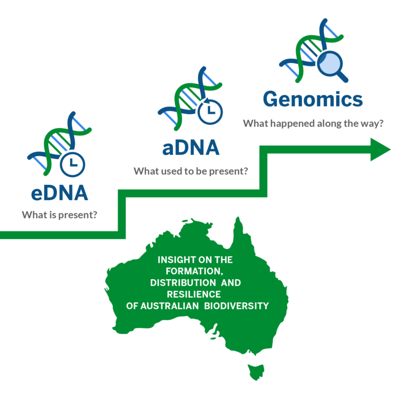 eDNA/aDNA/Genomics infographic