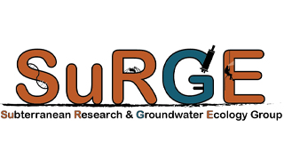 Subterranean Research and Groundwater Ecology (SuRGE Group)