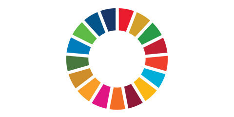 Technical input & support towards Sustainable Development Goals