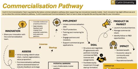 Commercialisation Pathway Infographic