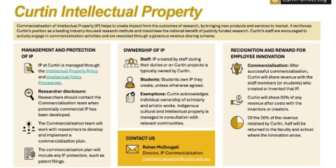 IP Policy and Procedures Infographic